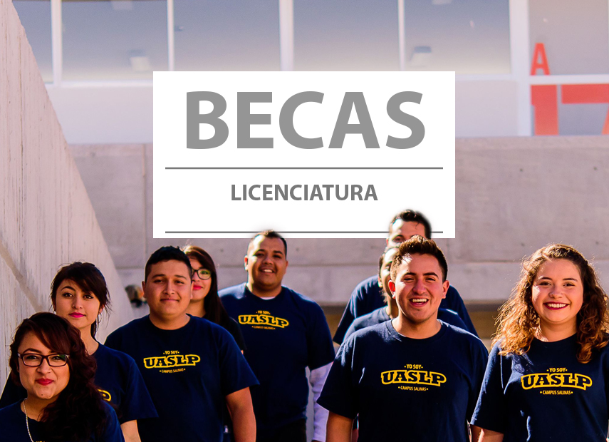 becas de licenciaturas